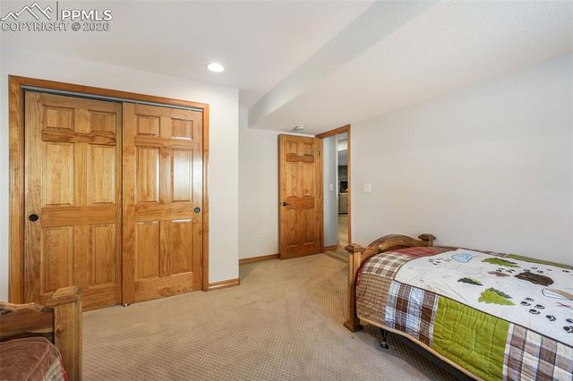 1116 Ptarmigan Drive, Woodland Park, CO 80863