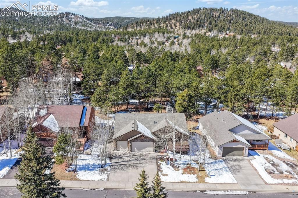 1116 Ptarmigan Drive, Woodland Park, CO 80863