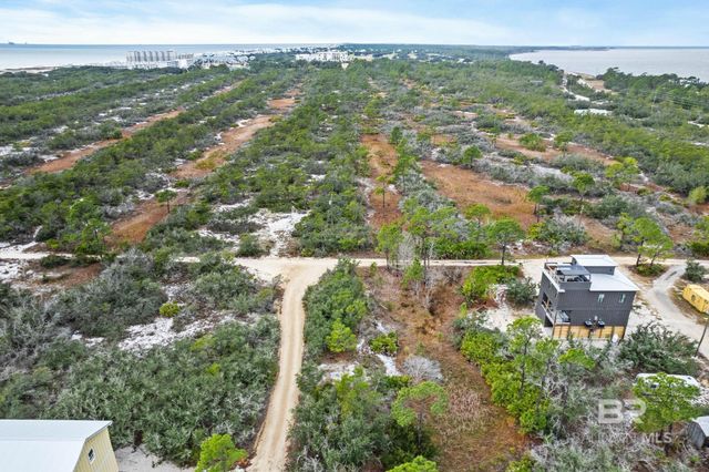 0 Zeanah Road, Gulf Shores, AL 36542