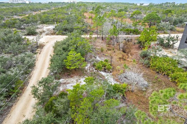 0 Zeanah Road, Gulf Shores, AL 36542