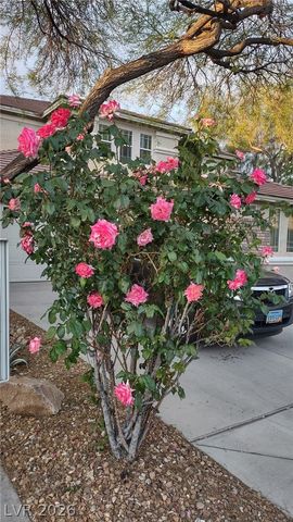 1409 Minuet Street, Henderson, NV 89052