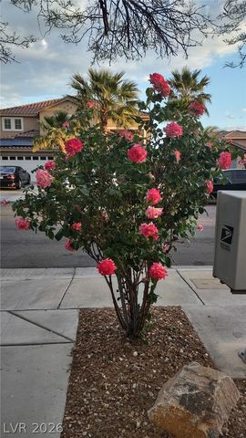 1409 Minuet Street, Henderson, NV 89052