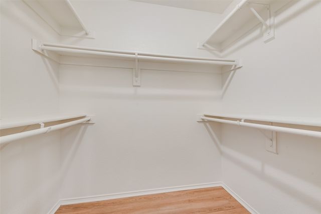 5519 Dove Drive, Dallas, TX 75236