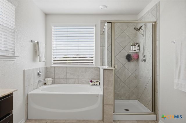 420 Conestoga Drive, Kyle, TX 78640