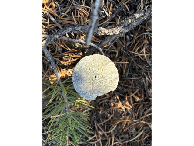 1057 Hotchkiss Rd, Fort Garland, CO 81133