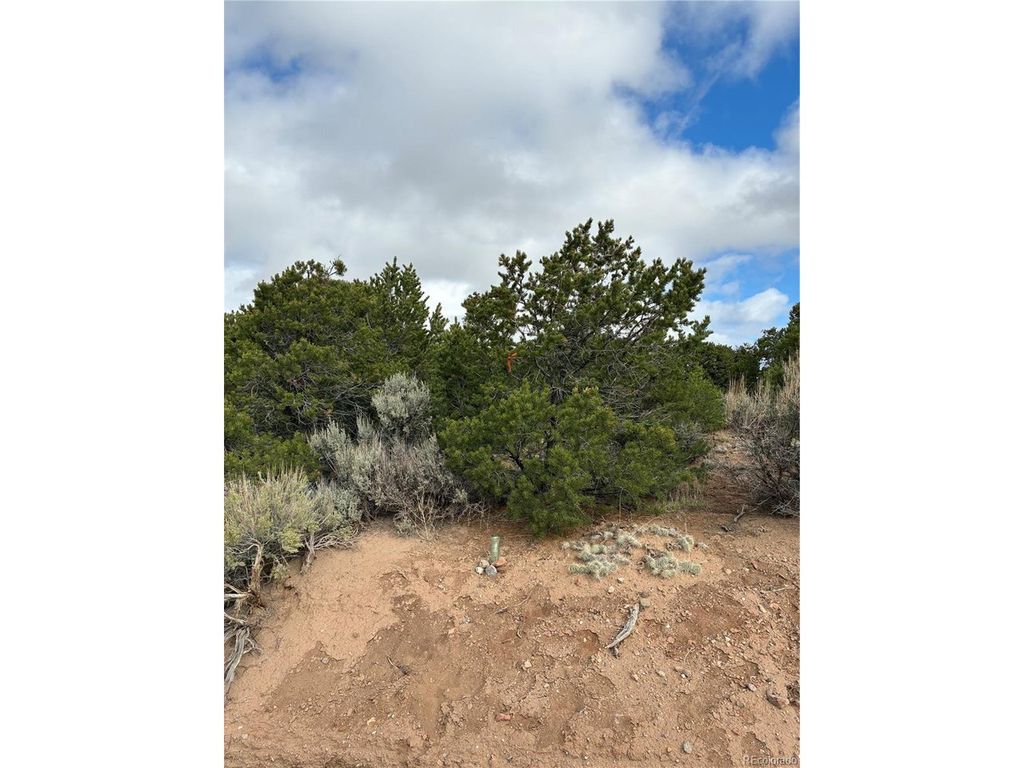 1057 Hotchkiss Rd, Fort Garland, CO 81133