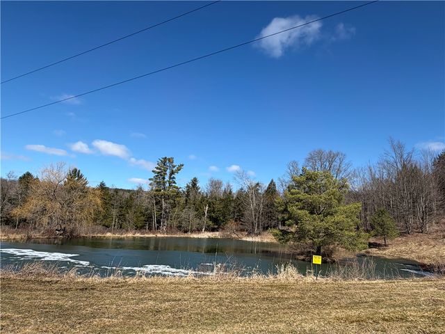 186 Bates Wilson Road, Plymouth, NY 13844