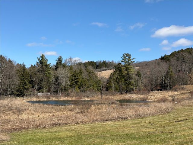 186 Bates Wilson Road, Plymouth, NY 13844