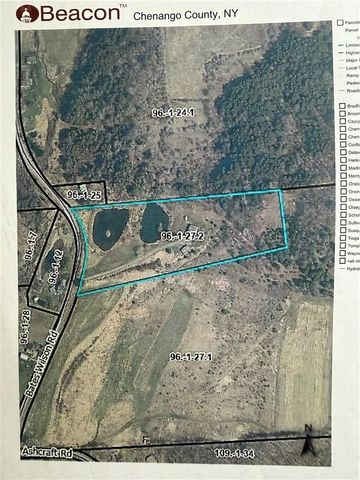 186 Bates Wilson Road, Plymouth, NY 13844