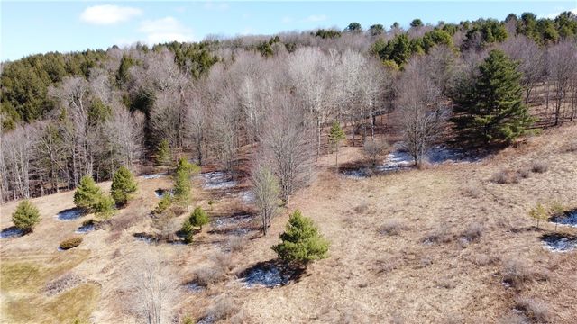 186 Bates Wilson Road, Plymouth, NY 13844