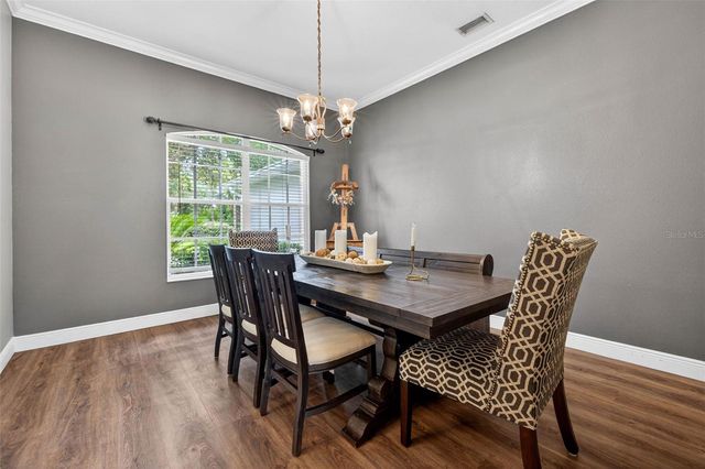 18127 HERON WALK DRIVE, Tampa, FL 33647