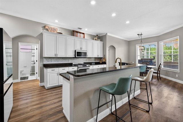 18127 HERON WALK DRIVE, Tampa, FL 33647