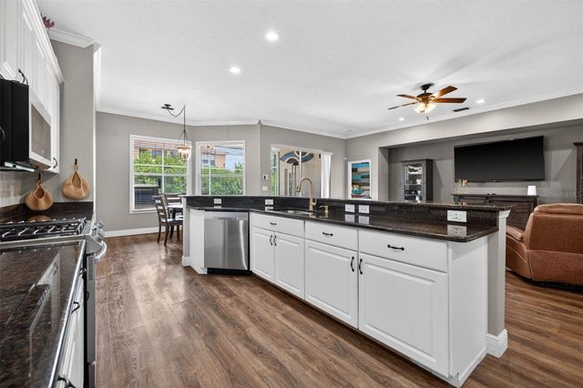 18127 HERON WALK DRIVE, Tampa, FL 33647