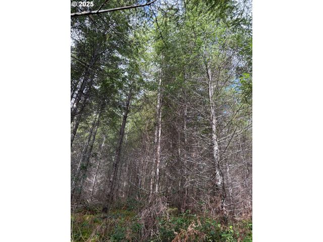 0 Boiler Creek Rd, Springfield, OR 97478