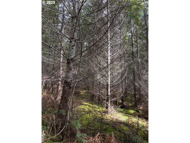 0 Boiler Creek Rd, Springfield, OR 97478