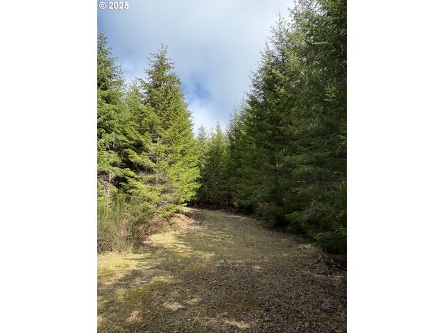 0 Boiler Creek Rd, Springfield, OR 97478