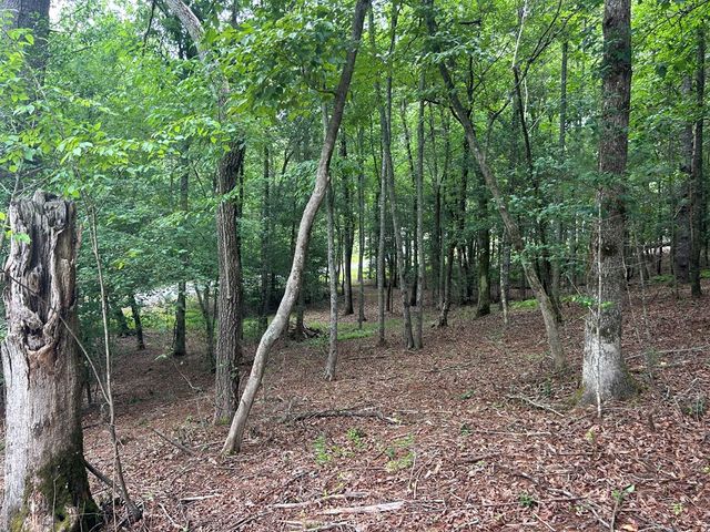 Lt 14 Fiddlers Cove, Blairsville, GA 30512