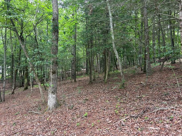 Lt 14 Fiddlers Cove, Blairsville, GA 30512