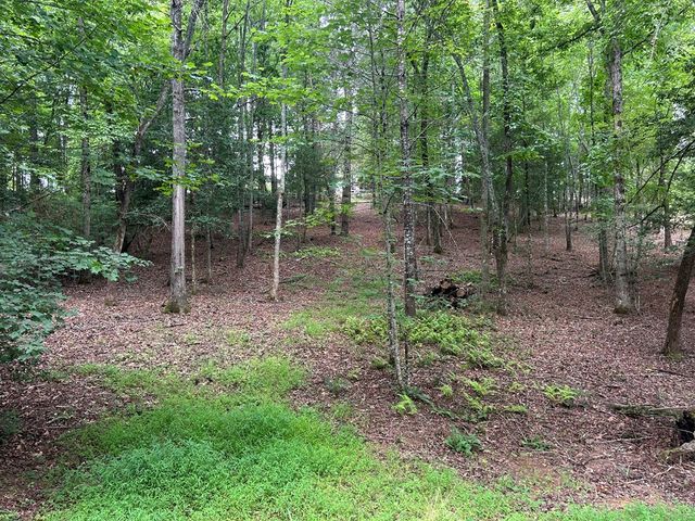 Lt 14 Fiddlers Cove, Blairsville, GA 30512