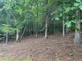 Lt 14 Fiddlers Cove, Blairsville, GA 30512