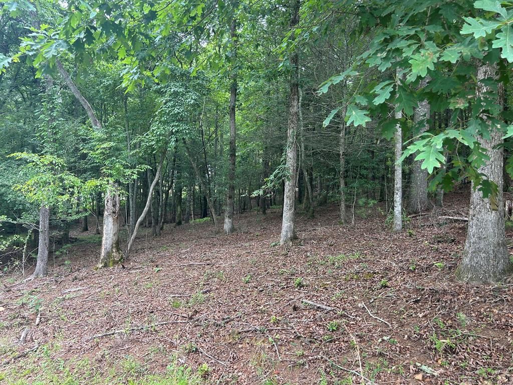 Lt 14 Fiddlers Cove, Blairsville, GA 30512
