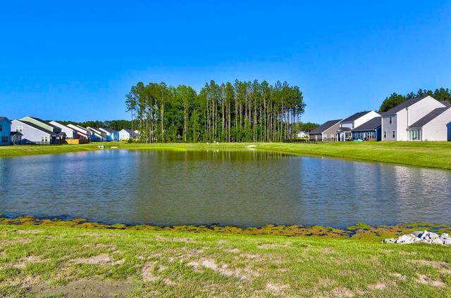 1008 Field Sparrow Drive, Ravenel, SC 29470