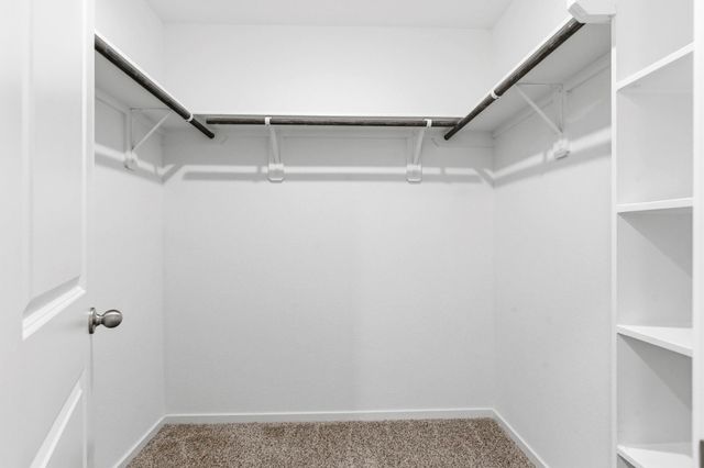 3518 Longhorn Valley, League City, TX 77573