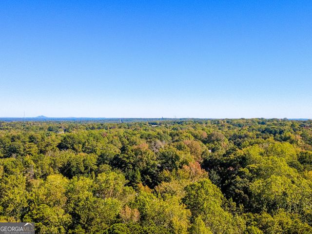 7048 Branch Crossing Way, Douglasville, GA 30134