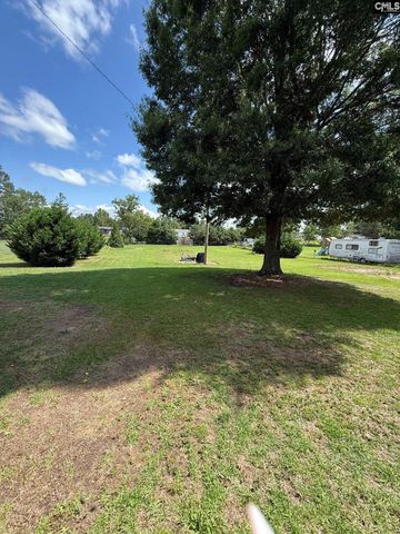 156 Peeler Road, Gaston, SC 29053