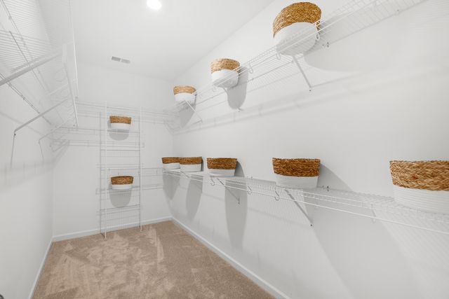 1042 Red Turnstone Run, Summerville, SC 29485