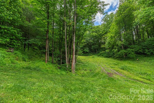 262 Gibson Branch Road, Clyde, NC 28721