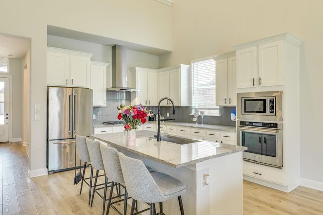 17420 Autumn Falls DR, Manor, TX 78653