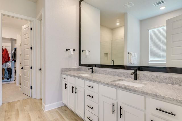 17420 Autumn Falls DR, Manor, TX 78653