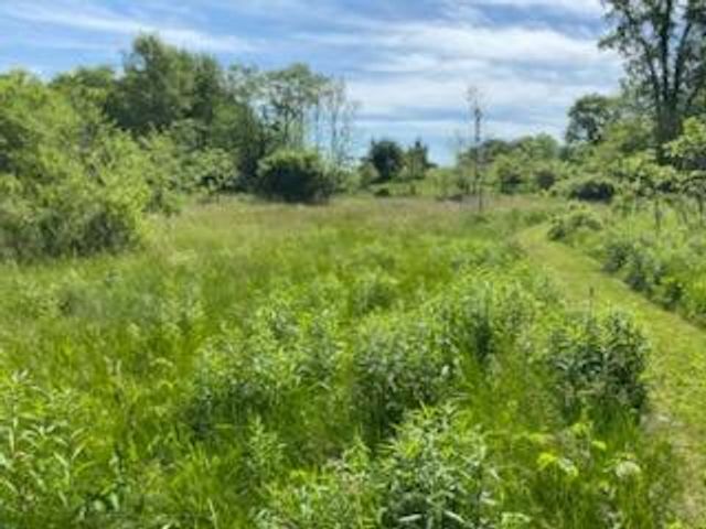 9007 Lake Road, Berrien Twp, MI 49102