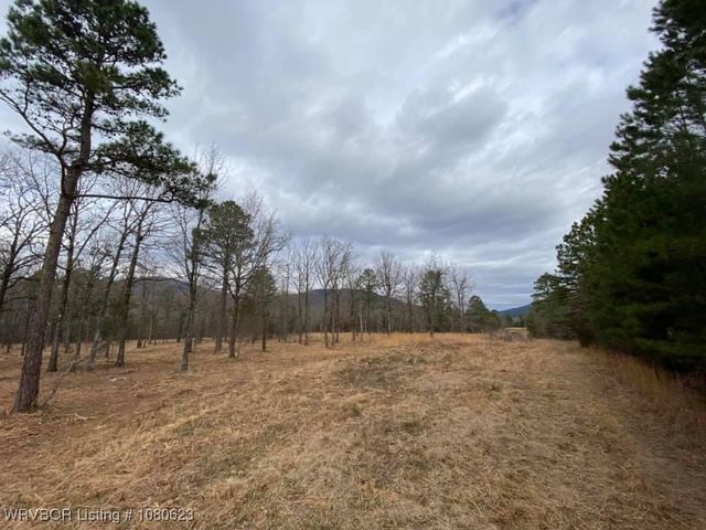 TBD Lot 6 W Harford Road, Hartford, AR 72938