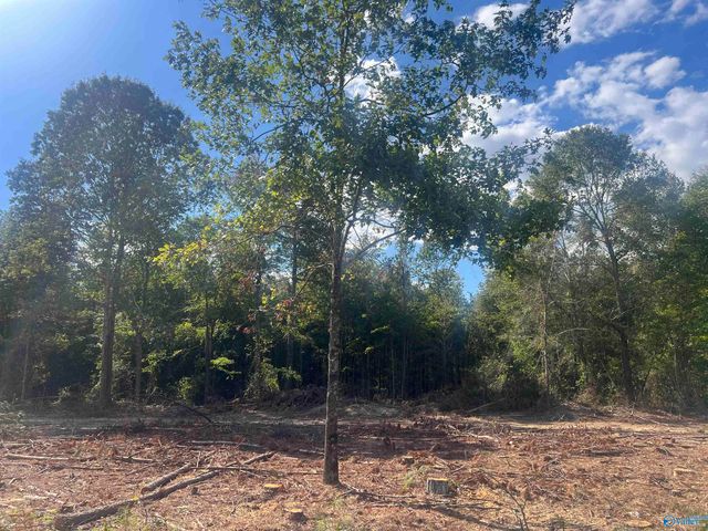 Lot 4, Tract 3 Summer Breeze Drive, Cedar Bluff, AL 35959