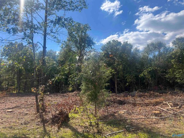 Lot 4, Tract 3 Summer Breeze Drive, Cedar Bluff, AL 35959