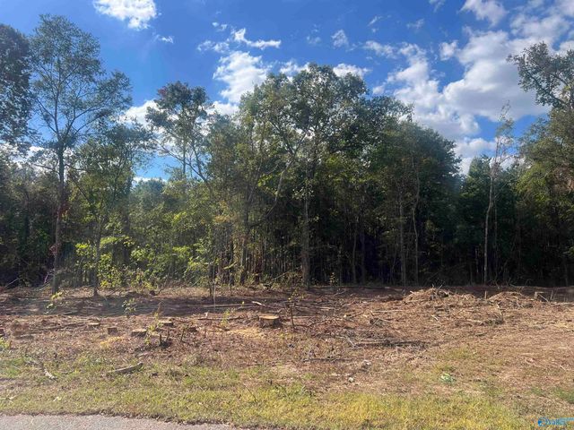Lot 4, Tract 3 Summer Breeze Drive, Cedar Bluff, AL 35959