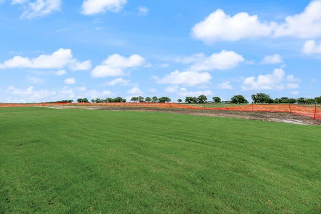 9321 Wood Duck Drive, Justin, TX 76247