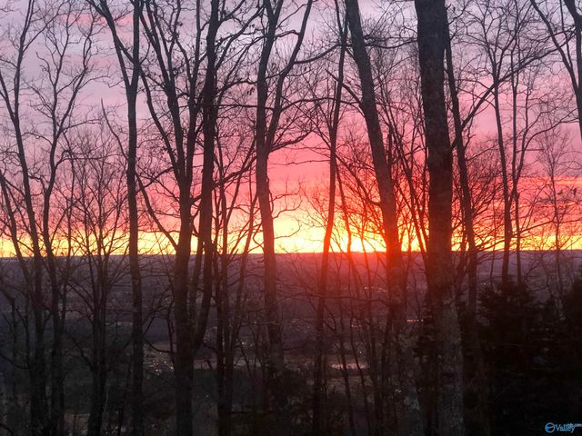 21 Ridge Bluff Circle SE, Huntsville, AL 35803