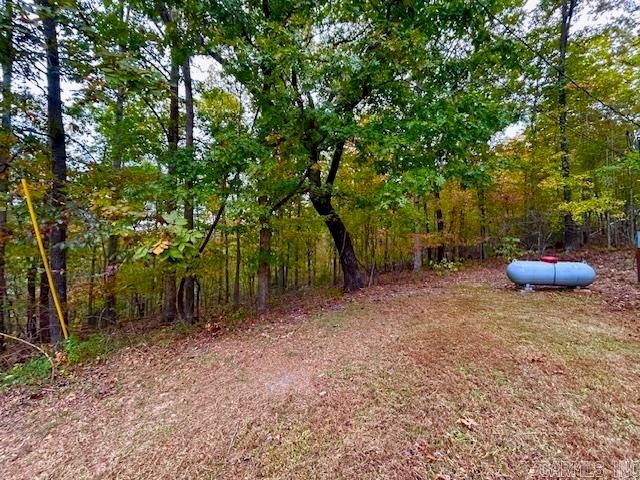 814 Herpel Road, Mountain View, AR 72560