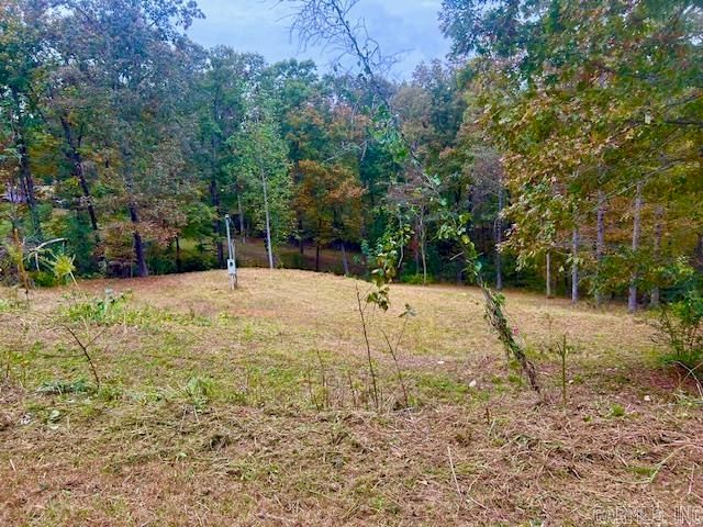 814 Herpel Road, Mountain View, AR 72560