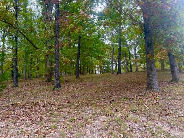 814 Herpel Road, Mountain View, AR 72560