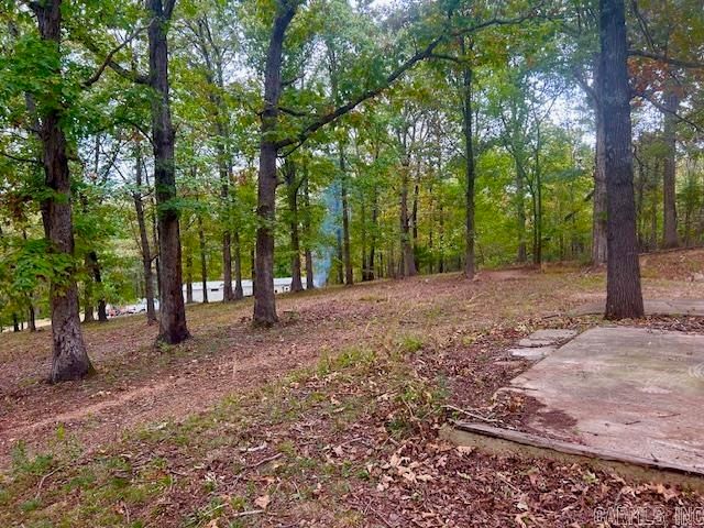 814 Herpel Road, Mountain View, AR 72560