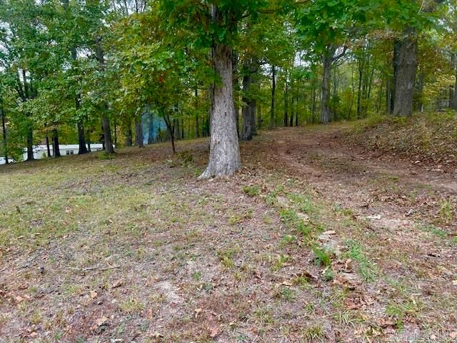 814 Herpel Road, Mountain View, AR 72560