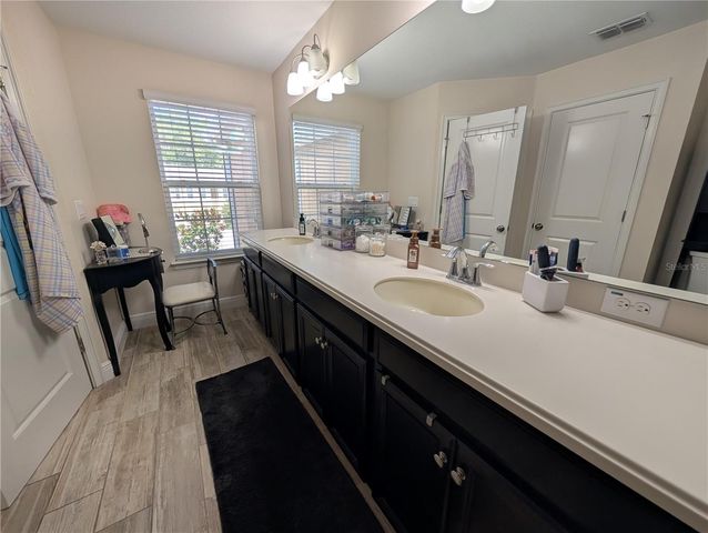 17849 ALTHEA BLUE PLACE, Lutz, FL 33558
