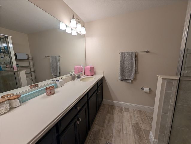 17849 ALTHEA BLUE PLACE, Lutz, FL 33558