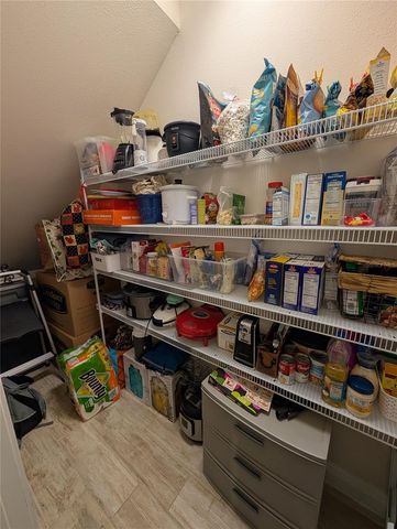 17849 ALTHEA BLUE PLACE, Lutz, FL 33558