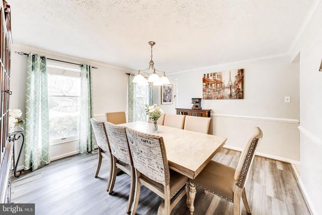 8404 CHILLUM CT, Springfield, VA 22153