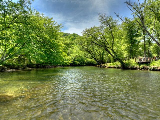 34 Dallas Lane, Blue Ridge, GA 30513